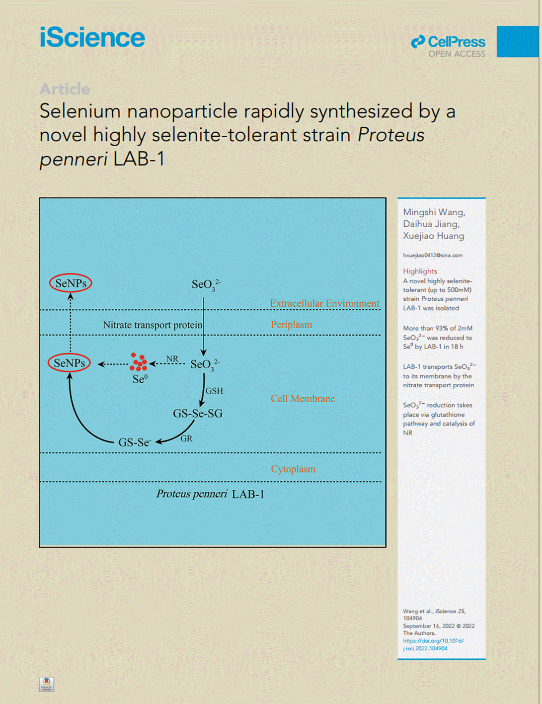 Selenium nanoparticle rapidly synthesized by a.pdf - 福昕阅读器